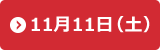 11月11日（土）