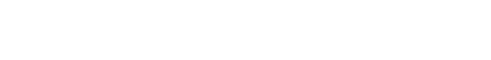 The 8th FARO Meeting