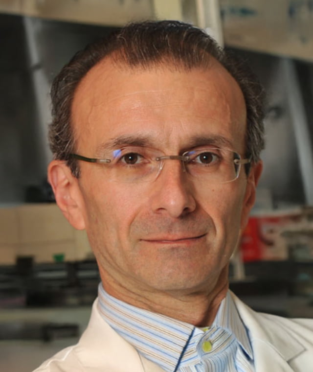 Domenico Accili