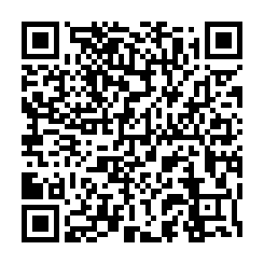 参加登録（クレジットカード・PayPay決済）