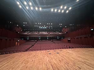 東北大学百周年記念会館川内萩ホール