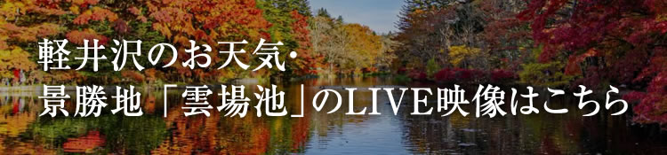 ライブカメラ